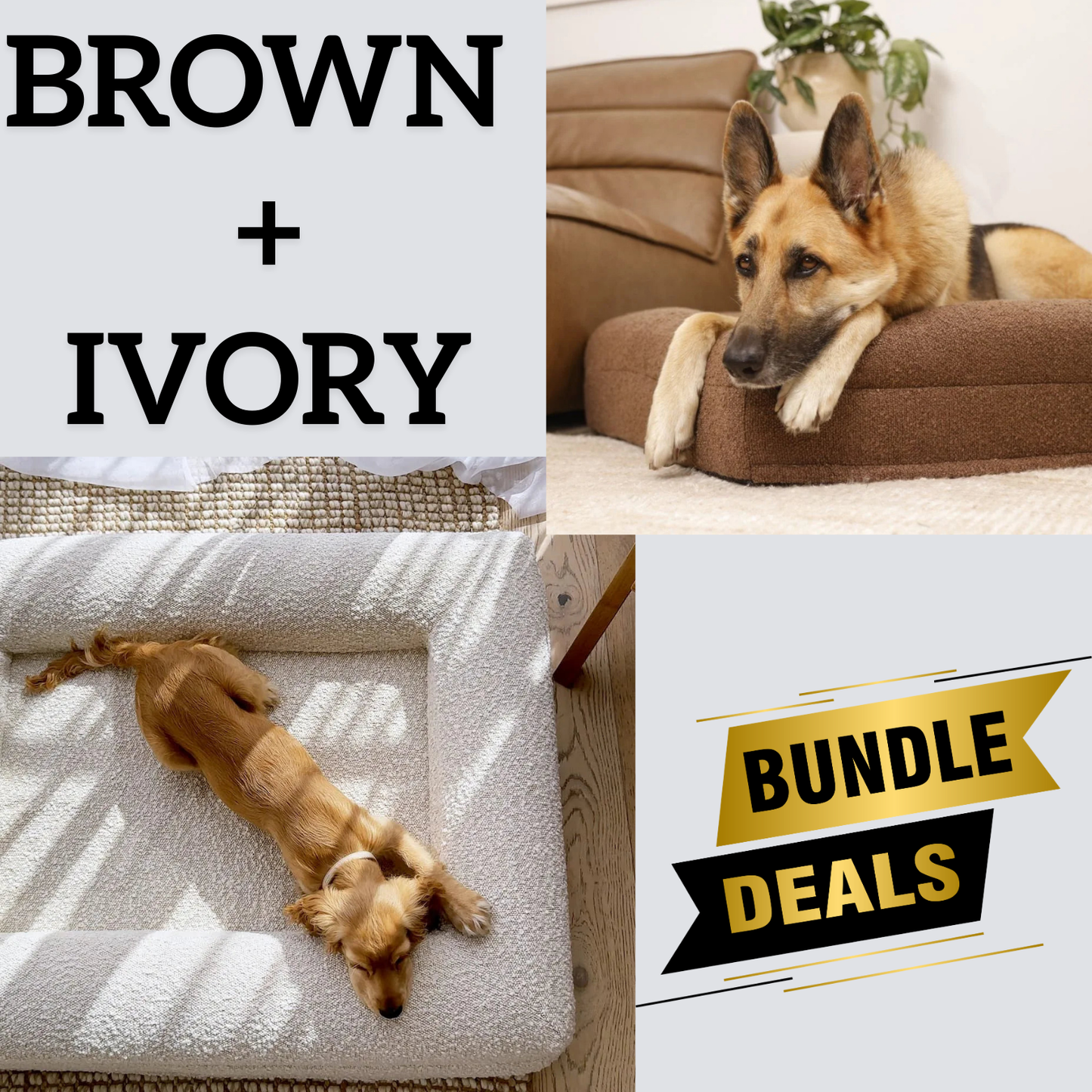 Bundle - 1 X Ivory & 1 X Brown Boucle Fabric & Orthopaedic Foam Dog Beds