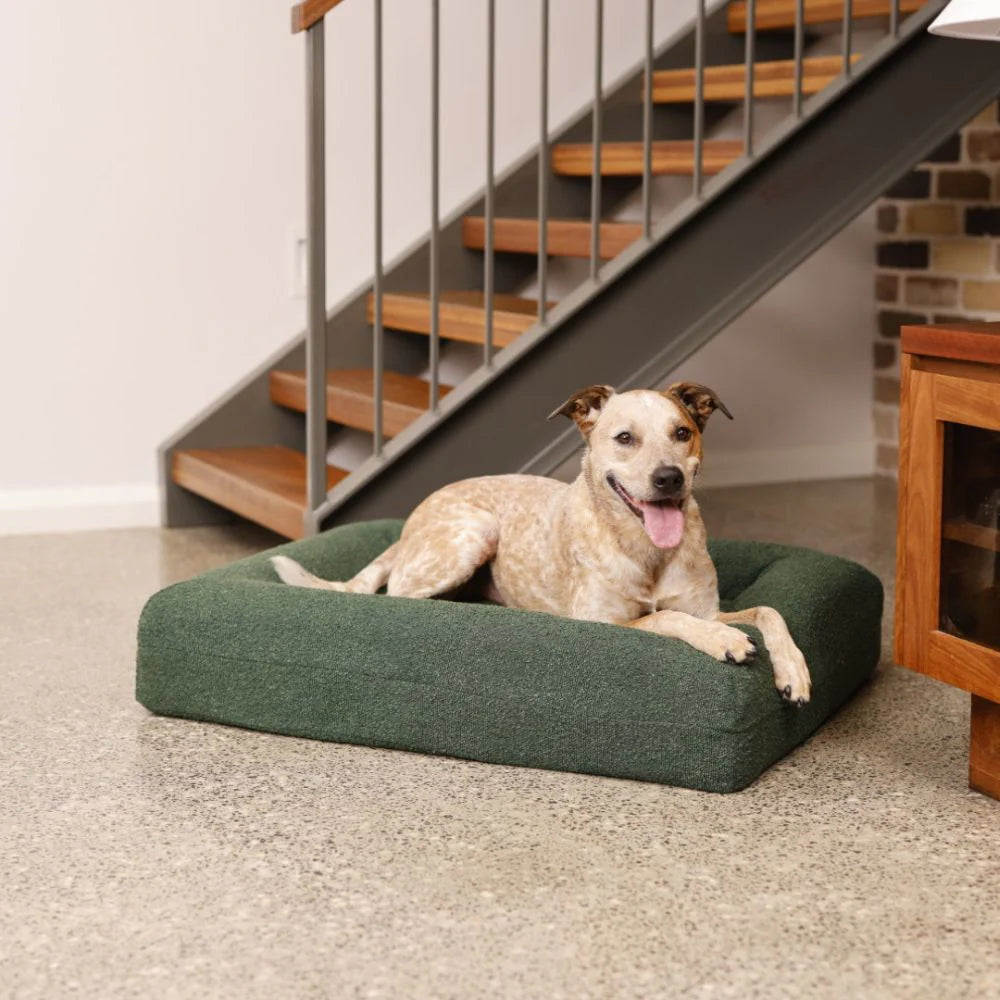 (Cover Only) Green Spare Boucle Cover - Hardwearing Washable Green Fabric Dog Bed Cover