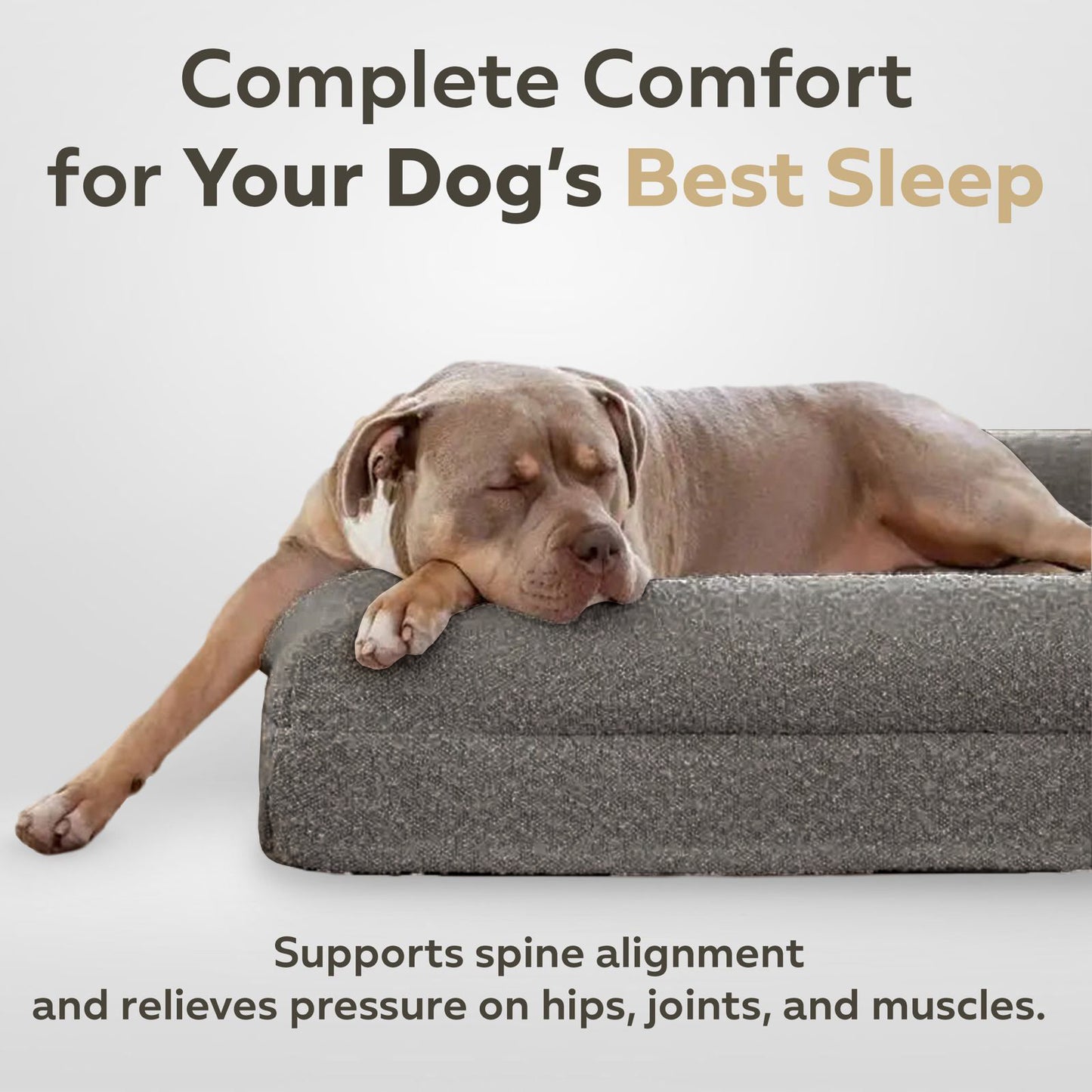 Grey Vet-Approved Orthopaedic Memory Foam Dog Bed - 3-Year No-Sag Guarantee + Lifetime Support Guarantee