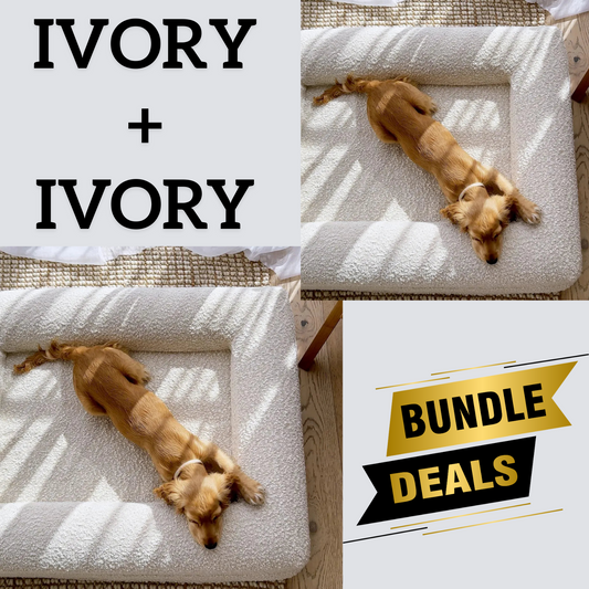 Bundle - 2 X Ivory Boucle Fabric & Orthopaedic Foam Dog Beds