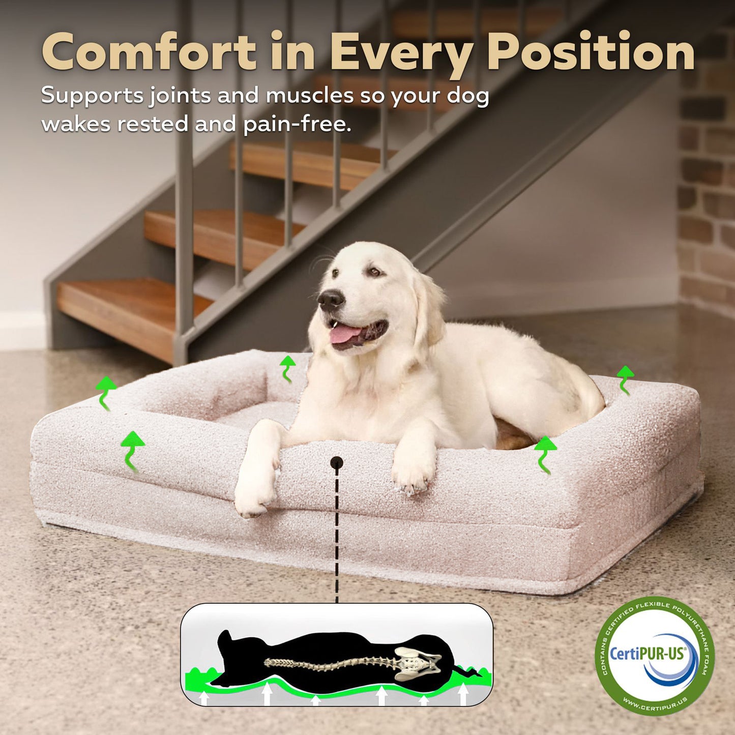 Ivory Orthopaedic Memory Foam Dog Bed — Vet Approved, Joint Support, No-Sag 3-Year Guarantee, Ideal For All Dog Breeds