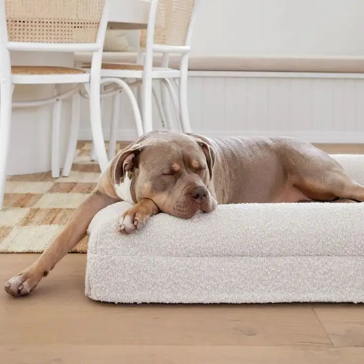 Ivory Orthopaedic Memory Foam Dog Bed — Vet Approved, Joint Support, No-Sag 3-Year Guarantee, Ideal For All Dog Breeds