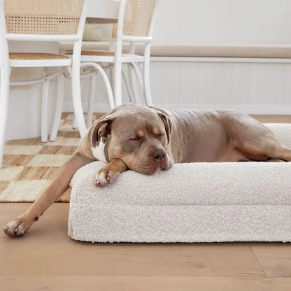 Ivory Orthopaedic Memory Foam Dog Bed — Vet Approved, Joint Support, No-Sag 3-Year Guarantee, Ideal For All Dog Breeds
