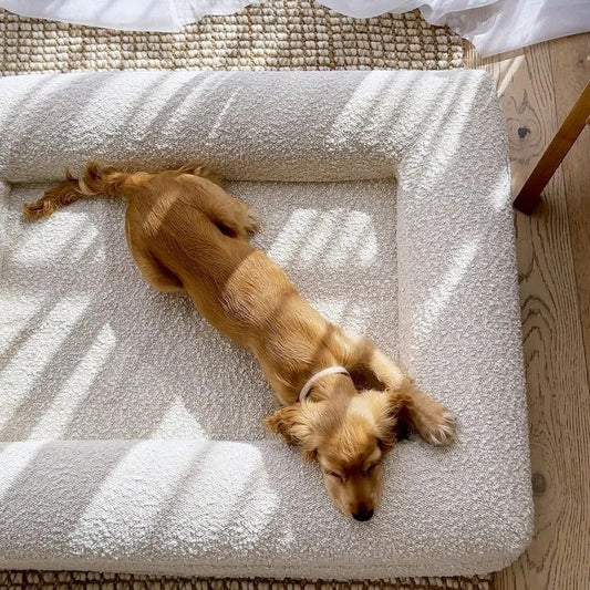 Ivory - Vet Approved Orthopaedic Memory Foam Dog Bed - Extra Large - For Dogs Of All Ages & Breeds - Joint Support, No-Sag Guarantee
