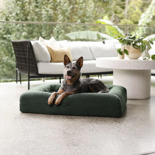 (Cover Only) Green Spare Boucle Cover -  Hardwearing Washable Green Fabric Dog Bed Cover