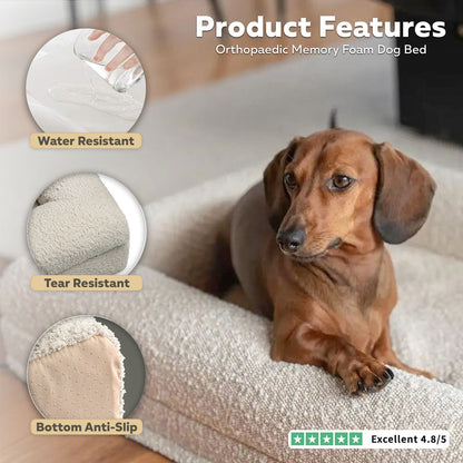 Ivory Orthopaedic Memory Foam Dog Bed — Vet Approved, Joint Support, No-Sag 3-Year Guarantee, Ideal For All Dog Breeds