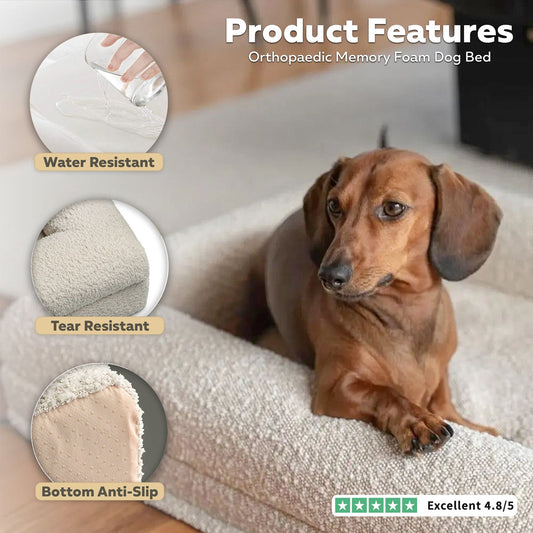 Ivory Orthopaedic Memory Foam Dog Bed — Vet Approved, Joint Support, No-Sag 3-Year Guarantee, Ideal For All Dog Breeds