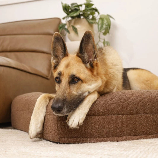 Brown Silent-night Premium Orthopaedic Dog Bed With Reflex Memory Foam & Hardwearing Washable Cover - Ideal For All Dog Breeds