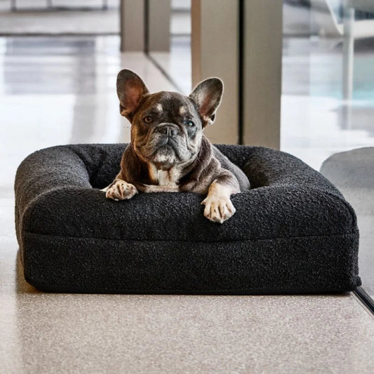 Black Veterinarian Approved Memory Foam Dog Bed - Arthritis & Hip Support + Ideal For All Dog Breeds