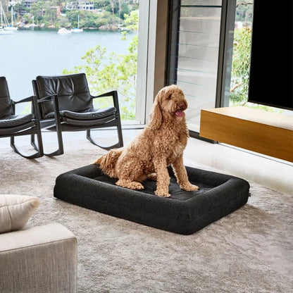 Black Veterinarian Approved Memory Foam Dog Bed - Arthritis & Hip Support + Ideal For All Dog Breeds